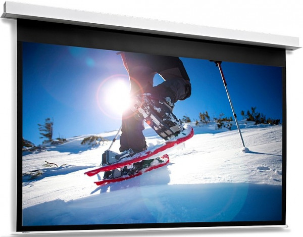 Экран Projecta DescenderPro 153x220 Matte White