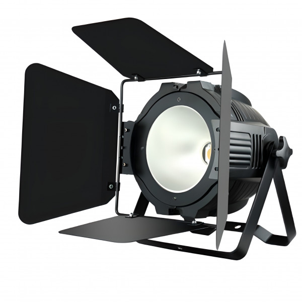 Светодиодный светильник Stage 4 STAGE PAR COB200CWW (v.2)