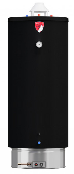 Газовый накопительный водонагреватель Federica Bugatti INOX WH200